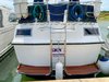 Stern