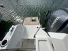 Stern