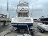 Stern