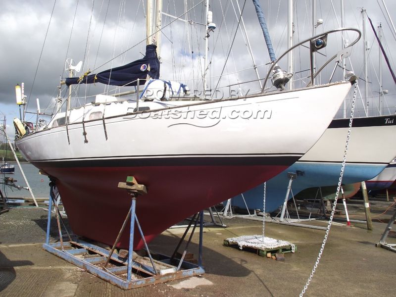 contessa 26 sailboat for sale
