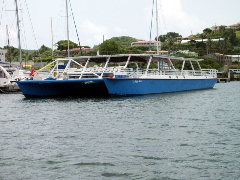Custom Catamaran