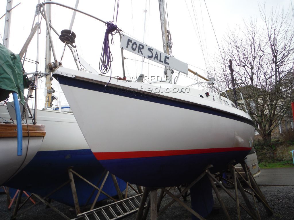 Westerly Tiger 25