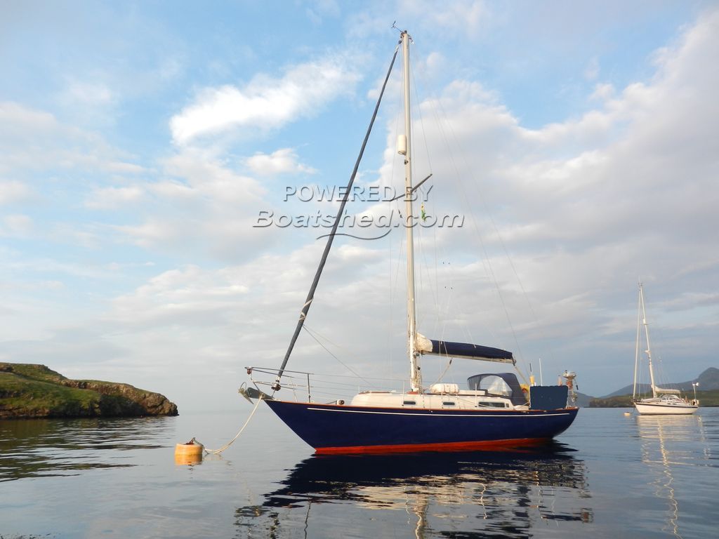 rustler 31 sailboat for sale