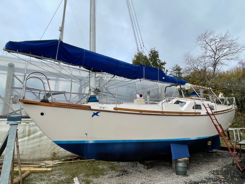 junk rigged yacht for sale