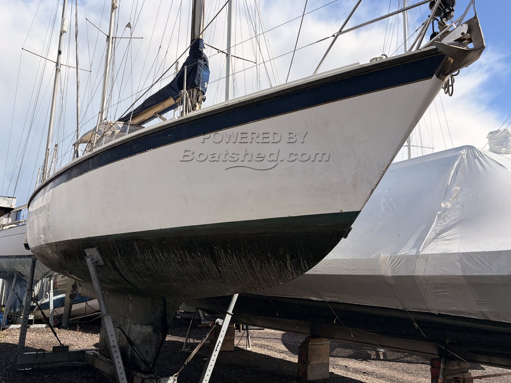 Westerly Conway Center Cockpit