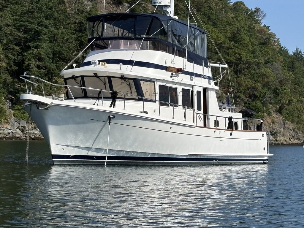 Selene 40 Archer