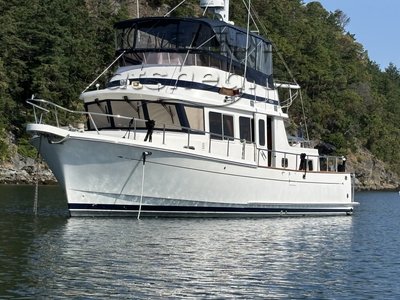 Selene 40 Archer 