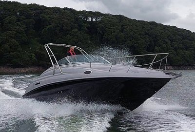 Rinker Fiesta Vee 266 