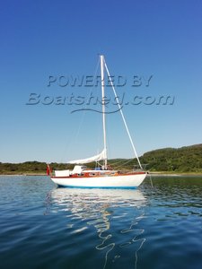 Honey Bee 27 