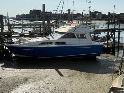 Princess 33 