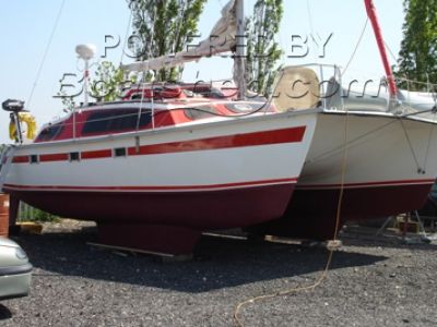 summer twins 28 catamaran for sale