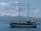 Charter Yacht Motor Sailer 