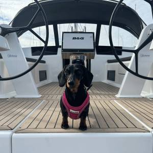 New boat membership scheme for the Solent