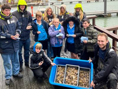 UKSA officially launches the Isle of Wight’s first oyster regeneration project