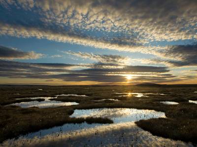 New report finds UK off track to halt and reverse nature loss by 2030, putting national security at risk