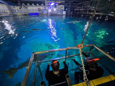 Plunge into the UK’s biggest tank with an immersive experience like no other with Snorkel at the Aquarium