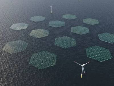 Floating solar panels to be trialled in North Sea