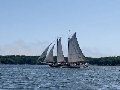 One person killed as mast snaps on historic schooner in US