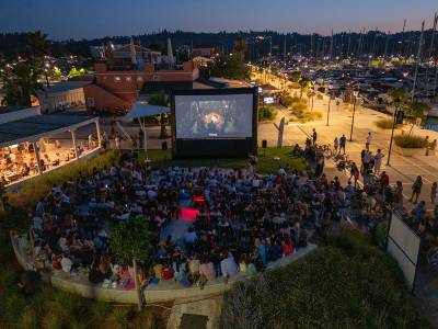 D-Marin summer events bring marinas to life and boost visitor numbers