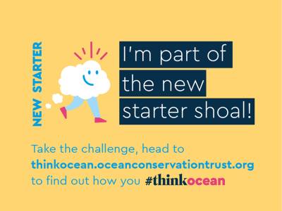 How can your personality help save the Ocean?  