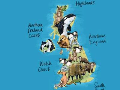 The UK wildlife no-one knows exists