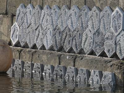 Cornwall’s first ‘living’ wall installed in Falmouth Harbour