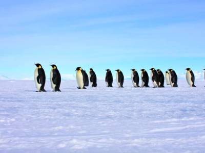 Antarctic itinerary announced for solo-sailor tourists
