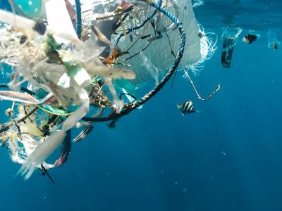 Marine life ‘thriving’ in Great Pacific Garbage Patch, study says