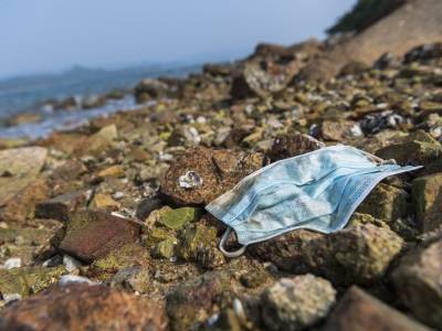 Discarded surgical masks are a ticking time bomb for ecosystems