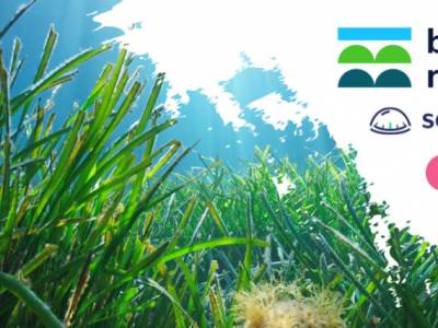 savvy navvy appointed first navigation partner at leading seagrass symposium event