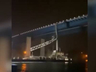 VIDEO: Kiel Canal closed after carrier smashes into 2 bridges