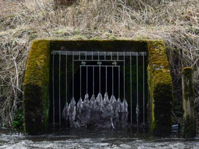 Waiver for part-treated sewage to be dumped into England’s waters