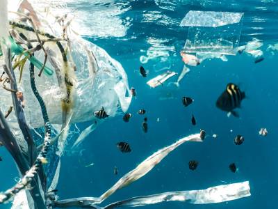 Vision Marine partners with ocean cleanup firm