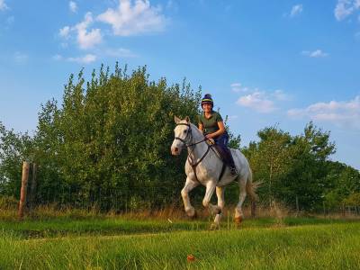 Horseback fundraiser leads the charge as RNLI’s Mayday Mile returns