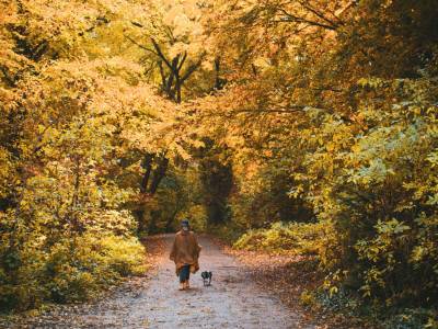 Autumn escapes on the rise as Brits choose UK breaks over travelling abroad