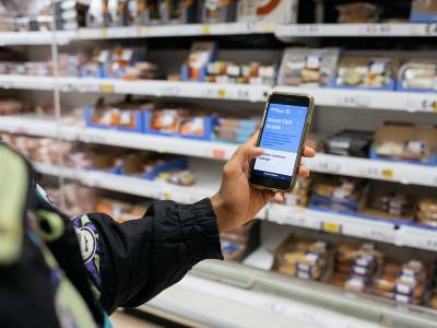 UK seafood staples under pressure as sustainability ratings decline