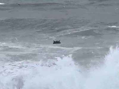 VIDEO: Drifting naval mine explodes on Georgian beach