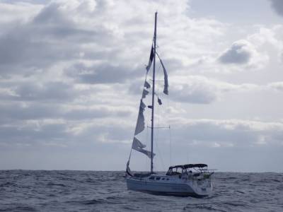 Missing sailor found alive on tattered vessel two weeks after setting sail to Bermuda