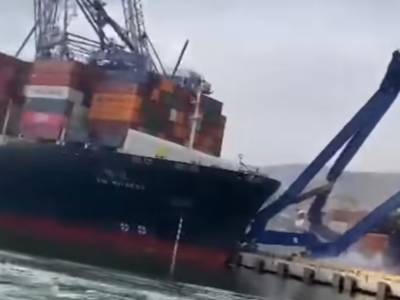 Video: Port worker injured after cargo ship collides with cranes
