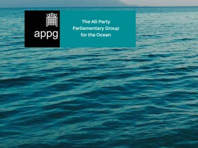 Parliamentarians call for bottom trawling ban