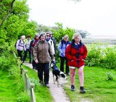 Chichester Harbour Events - October