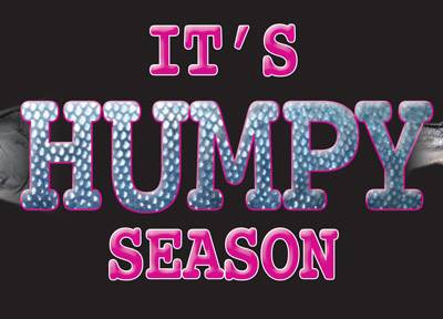 It’s HUMPY Season!