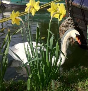 4 Essential Tips for a Smooth Start to the Boating Season