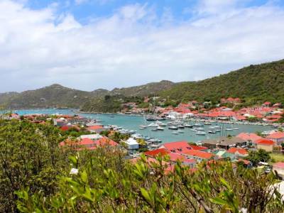 Capibara - The friendly Island St. Martin